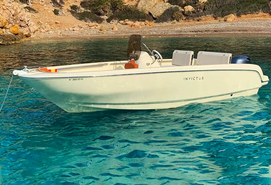 19-футовая моторная лодка Invictus FX 190 (с лицензией)
