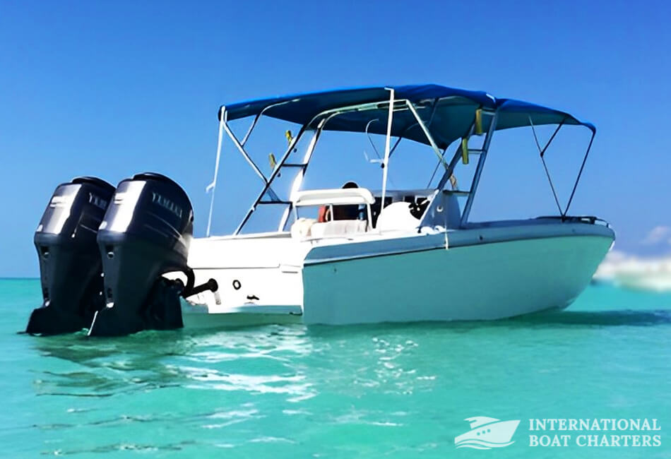 30 Ft Central Console Boat (Whale shark/Snorkeling/Fishing Trips)