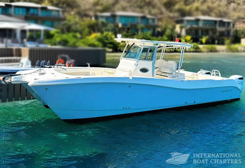 Catamarã World Cat 320cc De 32 Pés (Viagens Diárias De Usvi Para Bvi E Serviço De Táxi Aquático)