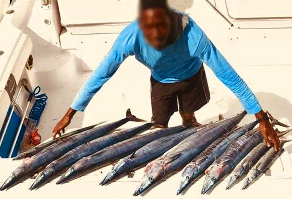Pescador deportivo de lujo Proline Express de 33 pies terapia de mamá