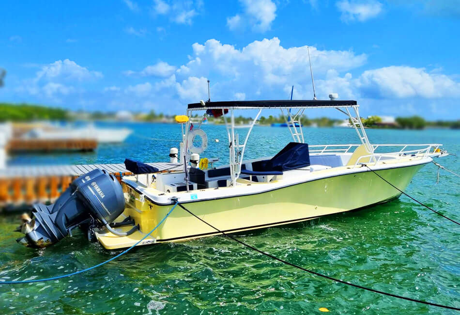 34 Kaki Ocean Pro Powerboat