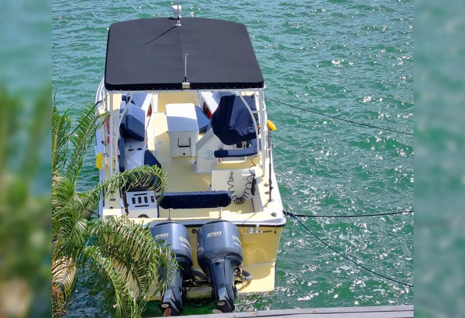 34 قدم Ocean Pro Powerboat 