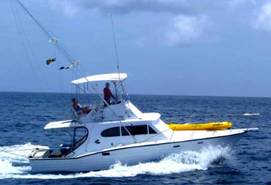 Barco a motor personalizado 36 pés Sportfisherman 