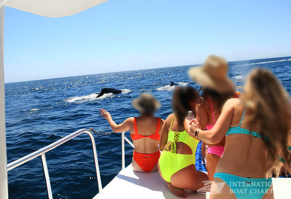 40-foot Luxury Cabo Catamaran 