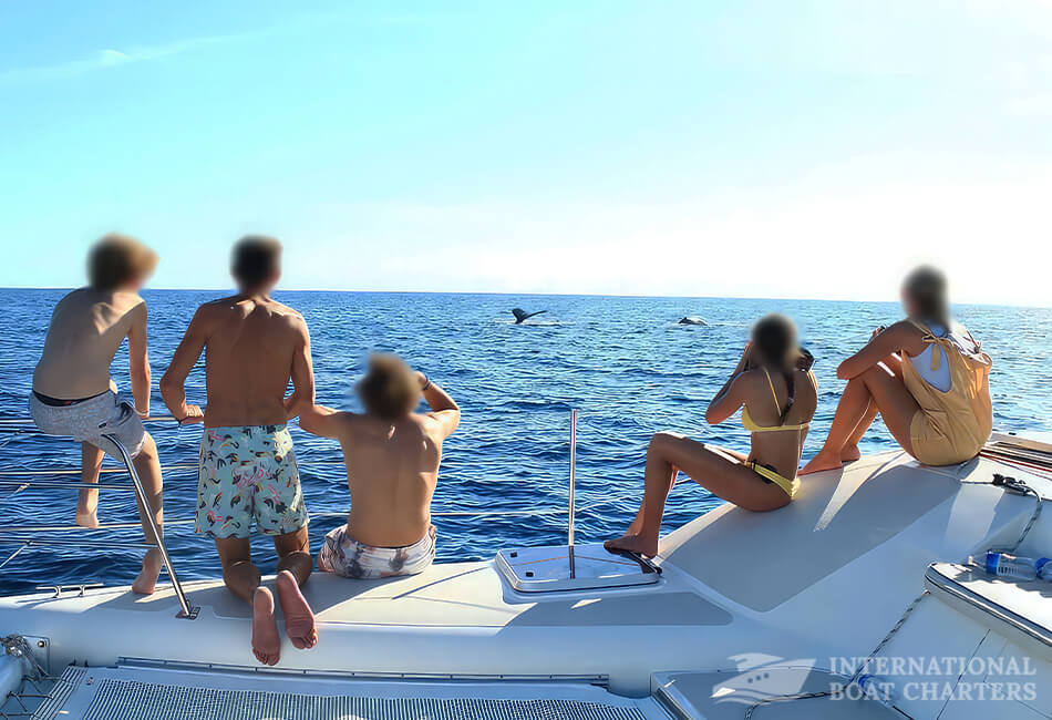 40-foot Luxury Cabo Catamaran 