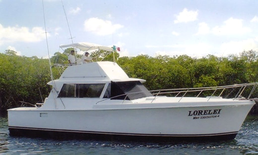 Fishing Gear for sale in Cancún, Quintana Roo