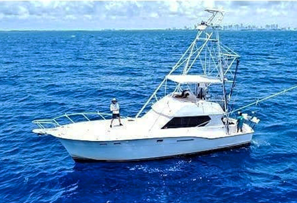41 英尺哈特拉斯敞篷飞桥摩托艇 (Fishing charters)