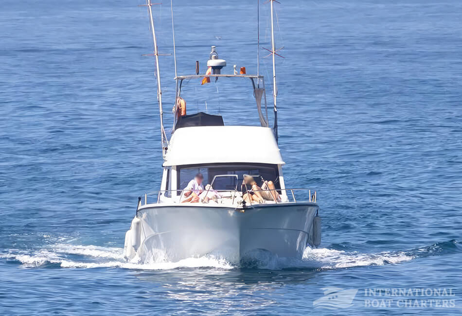 41 ft Rodman 1250 Ribiški čoln