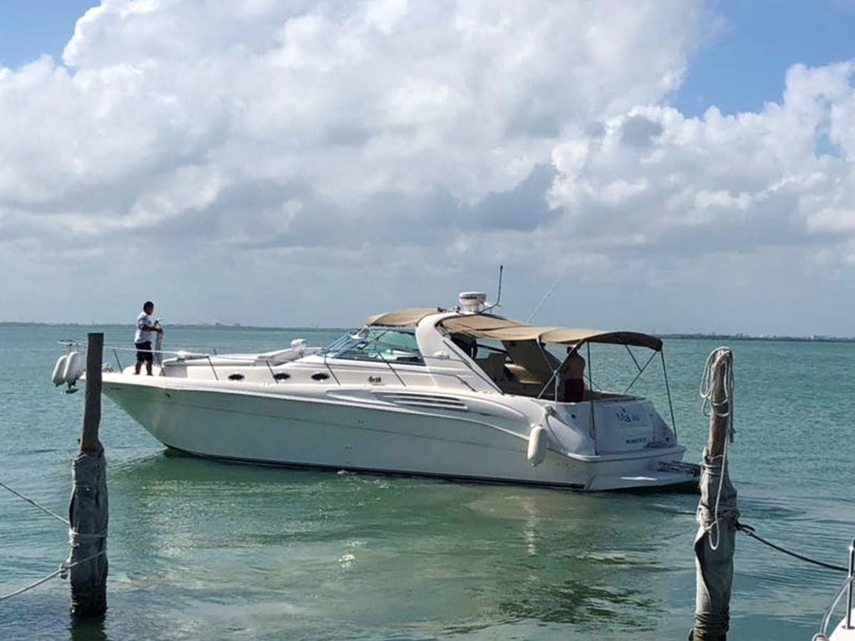Yacht a motore Searay da 41 piedi 
