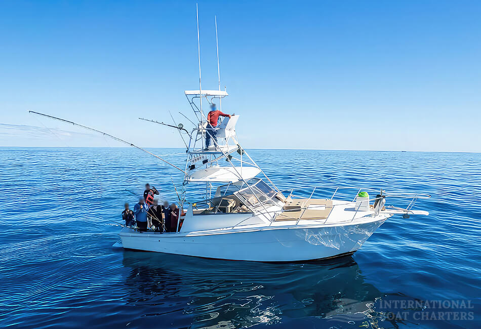 Deep Sea Sportfisher Flybridge Power Boat 