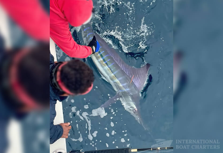 Deep Sea Sportfisher Flybridge Power Boat 