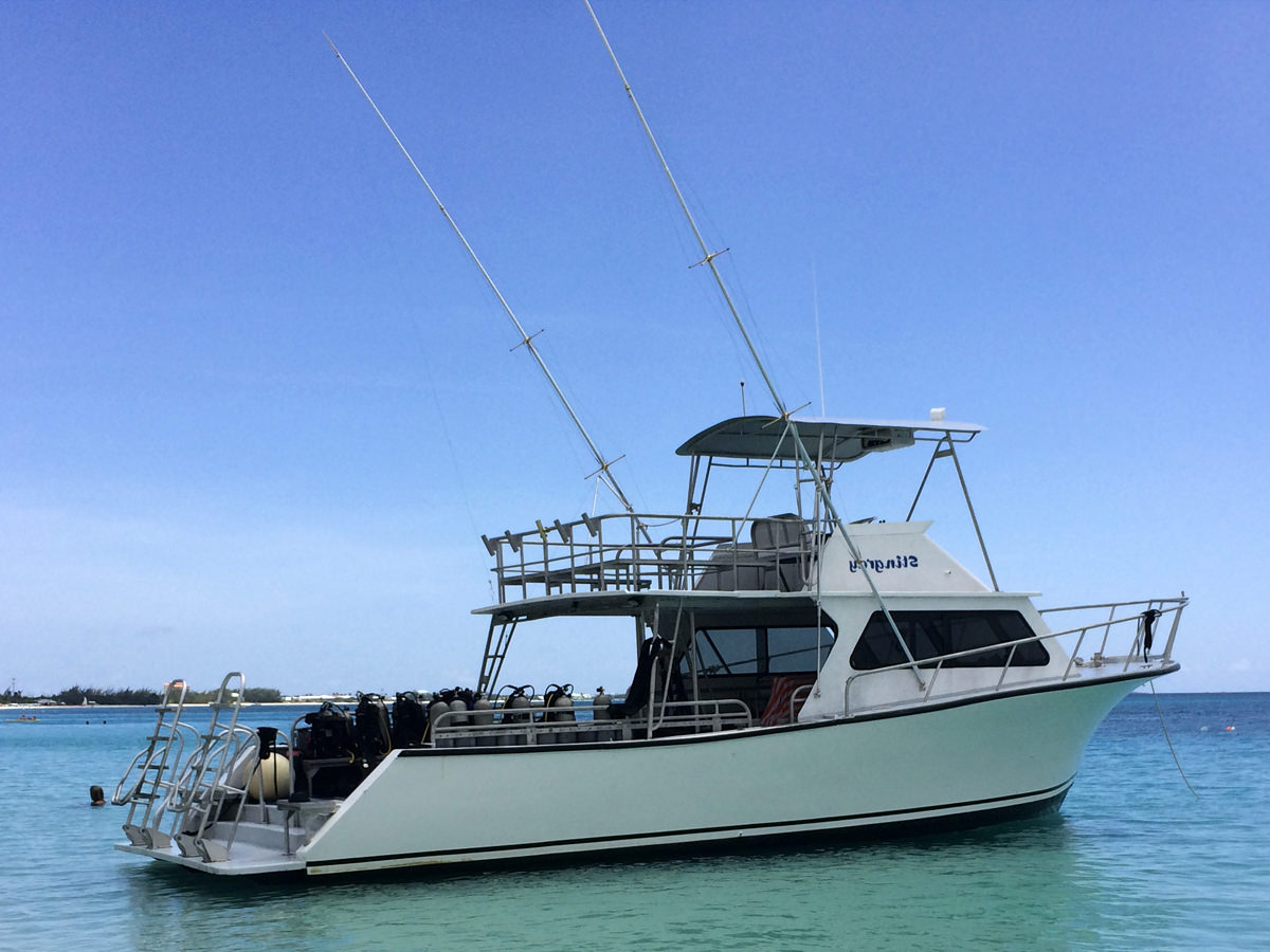42 Ft Newton 42 Fishing And Diving Boat