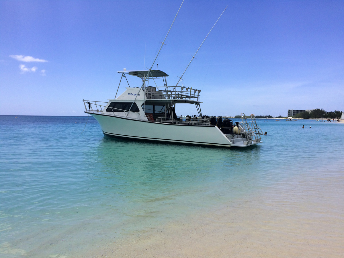 42 ft Newton 42 Fishing And Diving Boat