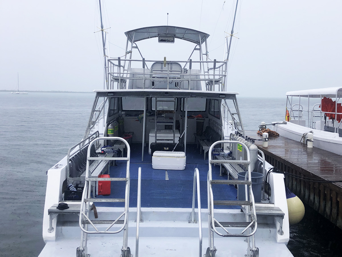 42 ft Newton 42 Fishing And Diving Boat