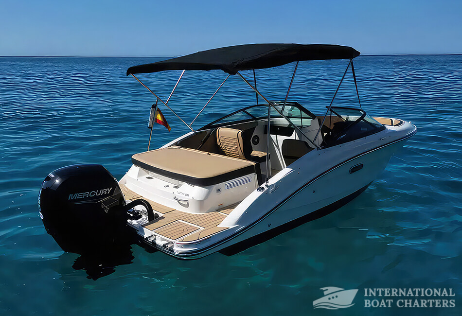5.9m/19.4ft Sea Ray 190 Motorboat (With License)
